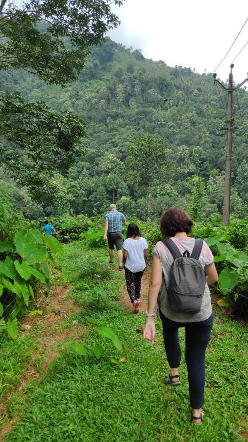 Vanilla County Vagamon Kültér fotó