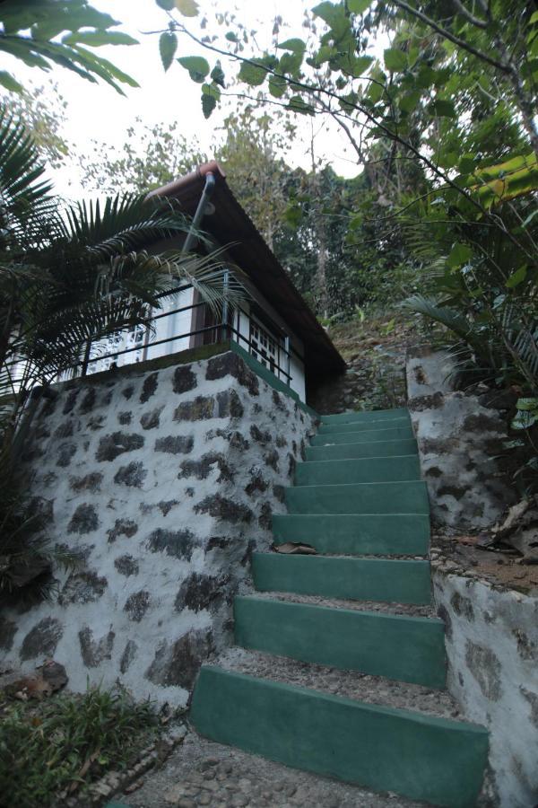 Vanilla County Heritage Plantation Bungalow Vagamon Kültér fotó