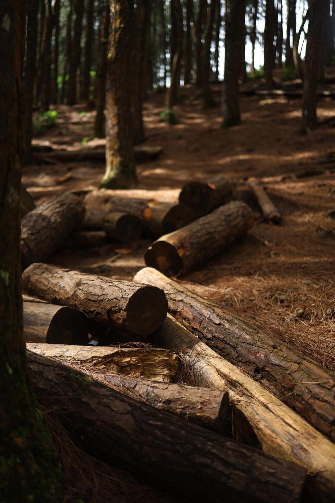 Vanilla County Vagamon Kültér fotó